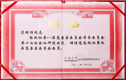 荣誉资质