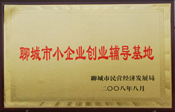 荣誉资质
